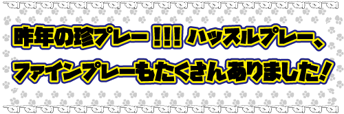 昨年の珍プレー。ハッスルプレー、ファインプレーもたくさんありました。