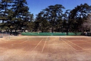 公園テニスコート